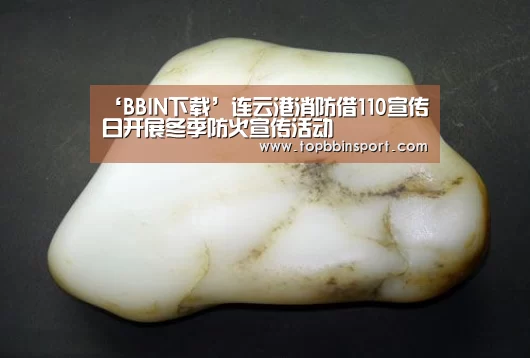 ‘BBIN下载’连云港消防借110宣传日开展冬季防火宣传活动(图2) BBIN直播