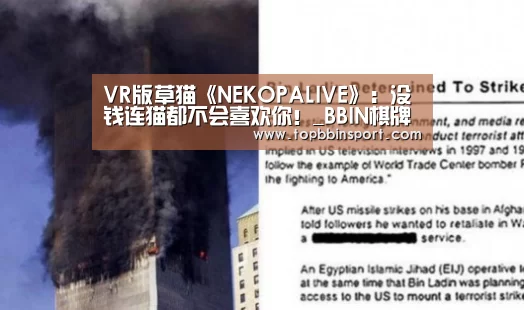 BBIN下载