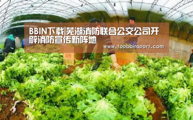 BBIN下载