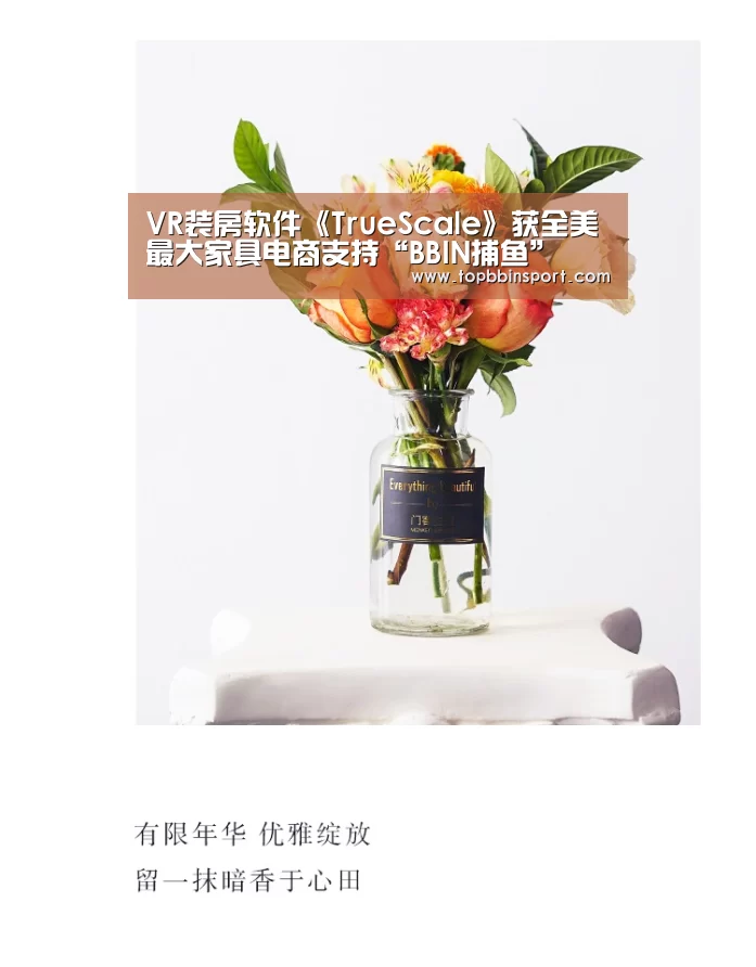 BBIN下载